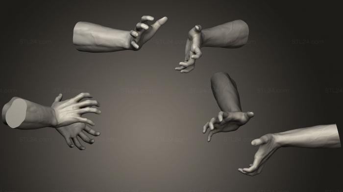 Anatomy of skeletons and skulls (Male Hands 12, ANTM_0828) 3D models for cnc